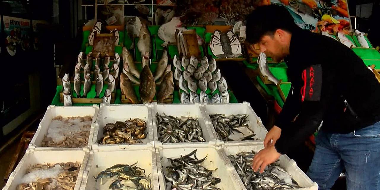 Küresel ısınma ve kirlilik Marmara'da balıkları kaçırdı
