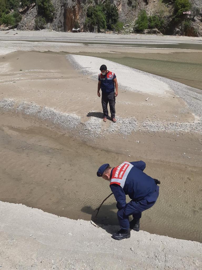 Salam Deresi'ndeki balık ölümlerine soruşturma, sıvı beton neden olmuş