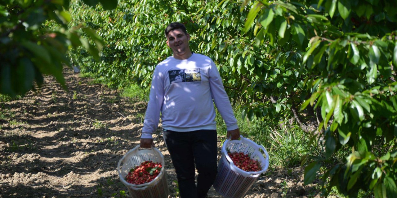 Manisa'da sezonun ilk kirazı 800 TL'den satıldı