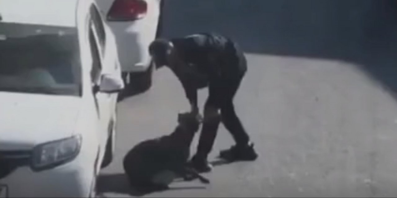 Beyoğlu'nda sokakta köpeğe eziyet ettiği belirlenen S.A., polis tarafından gözaltına alındı