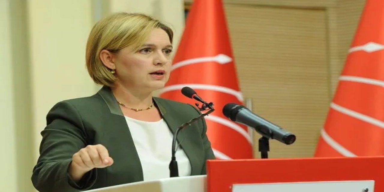 CHP'li Böke: İktidar panikle hırçınlaşıyor, halk sağduyulu