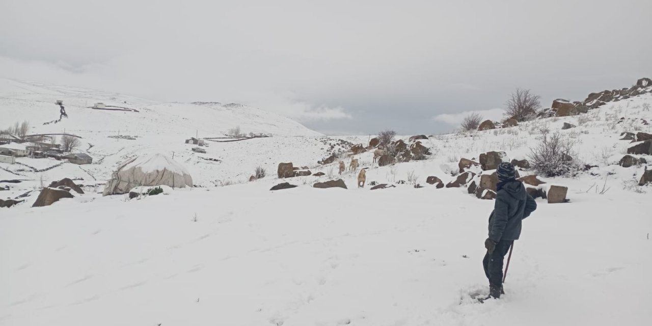 Bingöl ve Dersim'de okullar kar nedeniyle tatil edildi