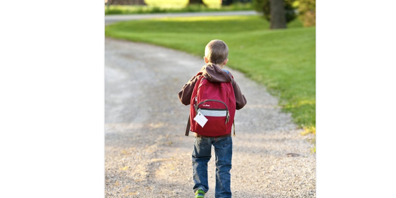 ABD'de okul saldırısı önlemi: Sırt çantası yasaklandı