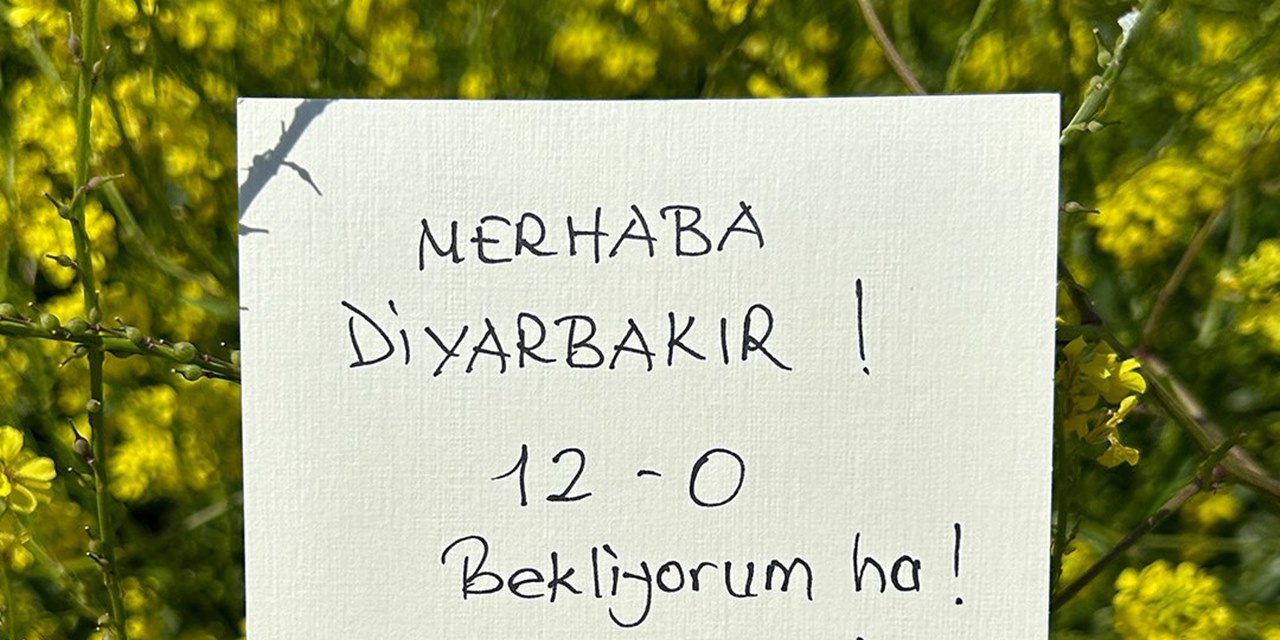 Demirtaş, Diyarbakır seçmeninden beklentisini duyurdu: 12 - 0