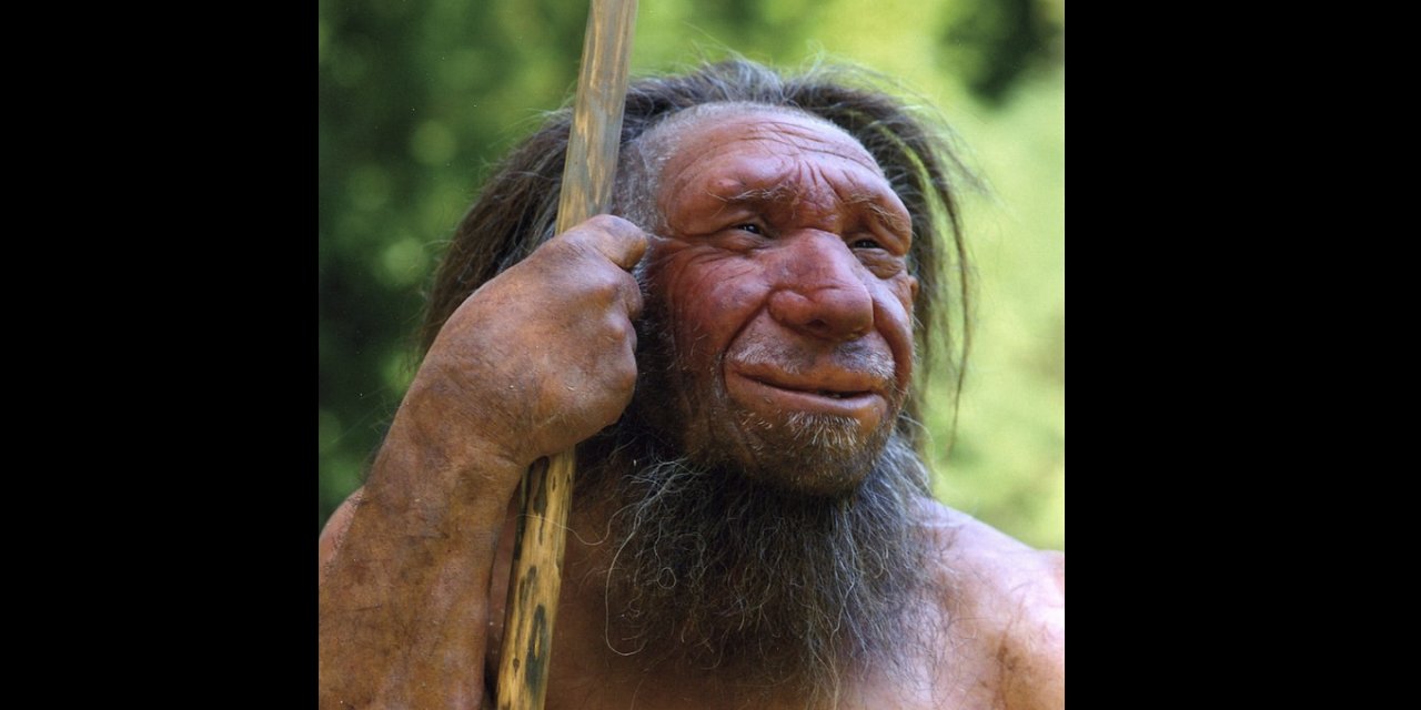 Modern insana 'uzun burun' Neandertallerden miras kalmış