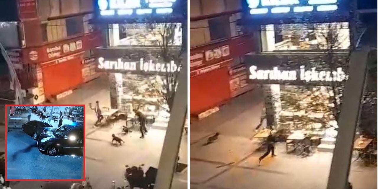 Zeytinburnu'nda çorbacıdaki müşterilere pitbull ile saldırdılar