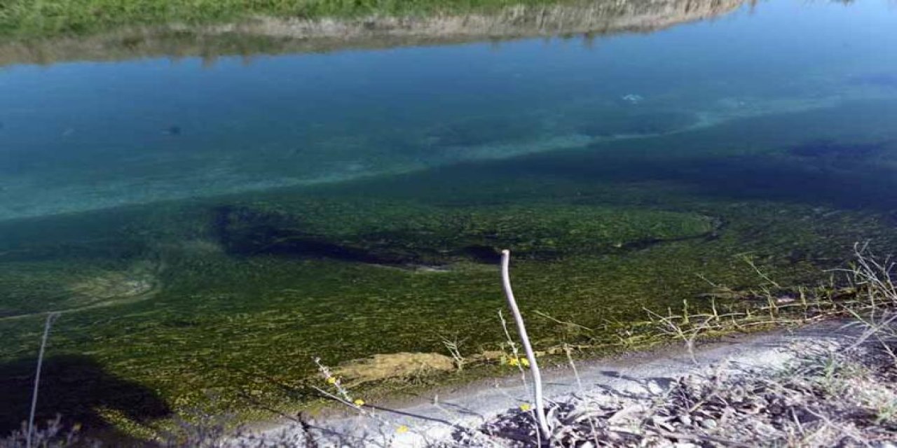 Antalya ve Mersin'de sulama kanalında iki çocuk yaşamını yitirdi