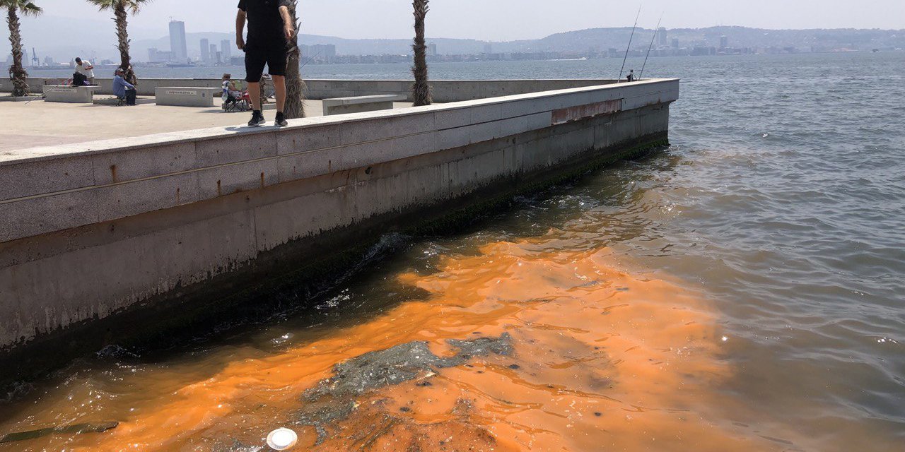 İzmir Körfezi turuncuya boyandı: Müsilaj belirtisi