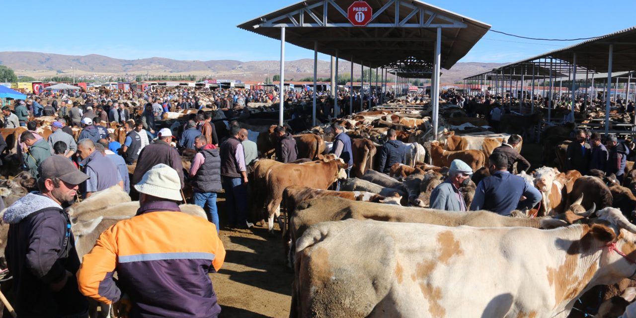 Sivas'ta şap hastalığı nedeniyle kurban pazarı açılmayacak