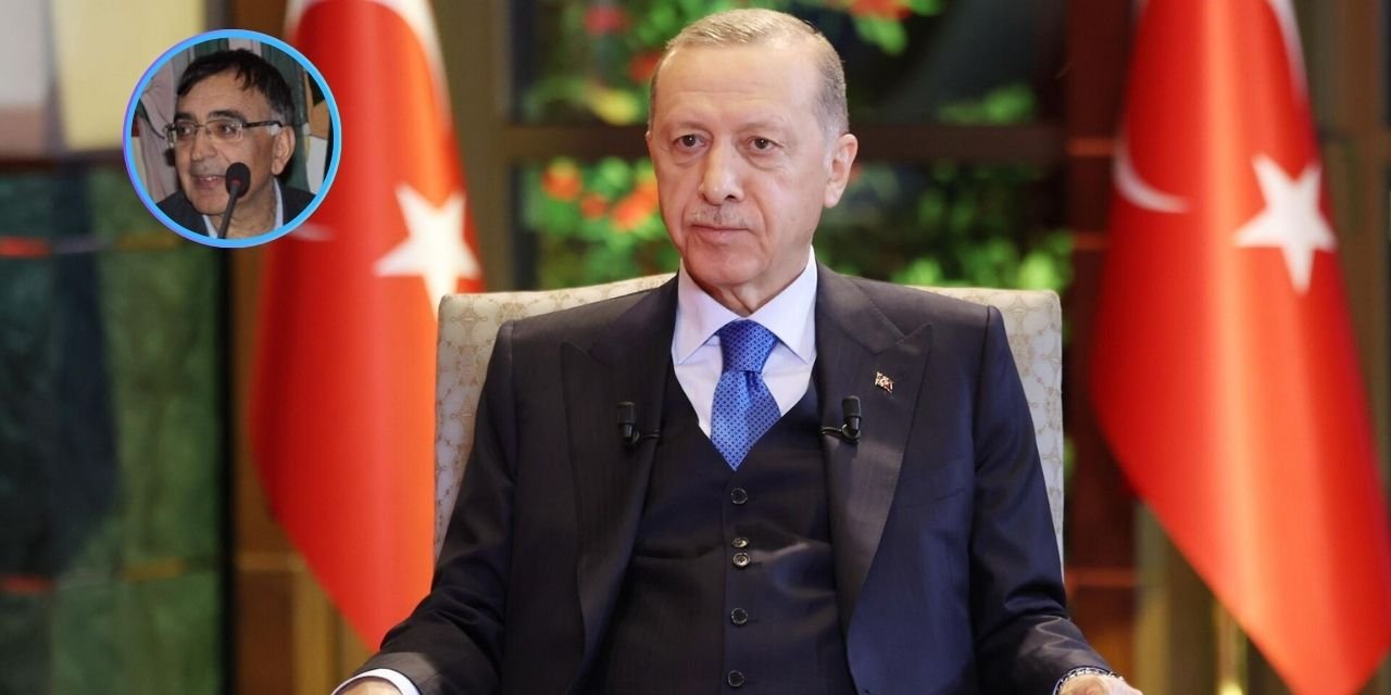 Hayri Kozanoğlu'ndan Erdoğan'ın faiz arttırımına onaya 'win-win stratejisi' yorumu: Yine ben kazanırım