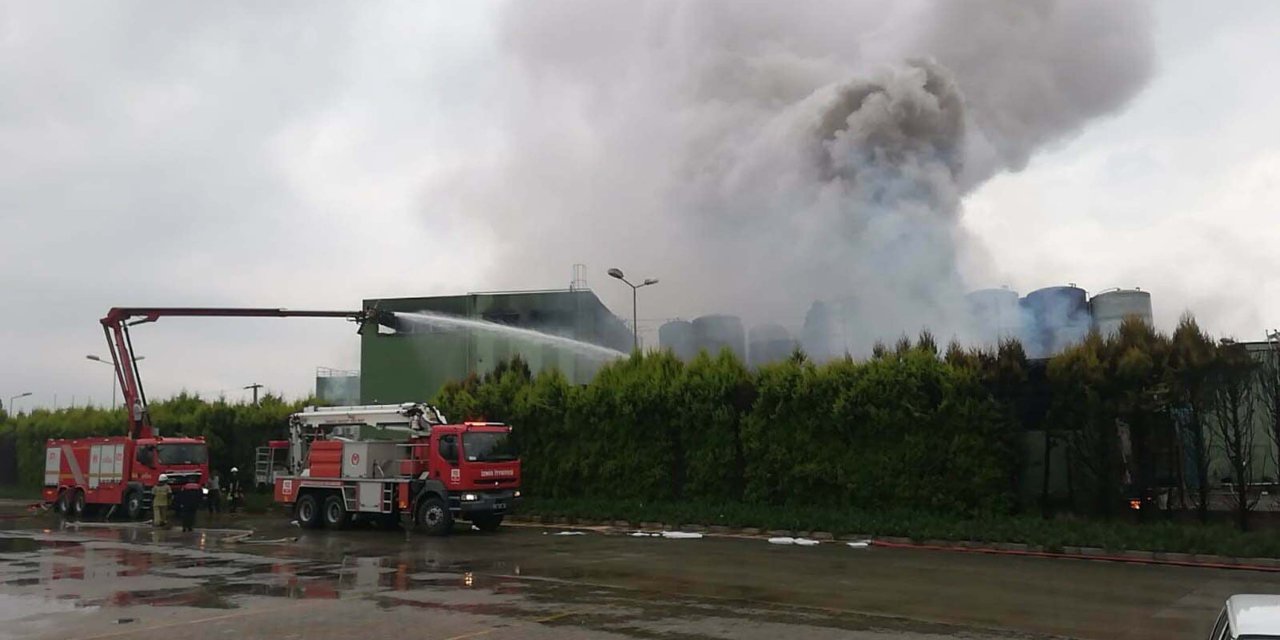 İzmir'de yıldırım düşen fabrikada yangın