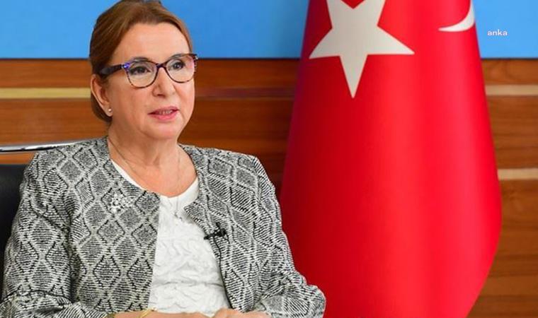 CHP, eski bakan Ruhsar Pekcan hakkında Meclis soruşturma önergesi hazırladı