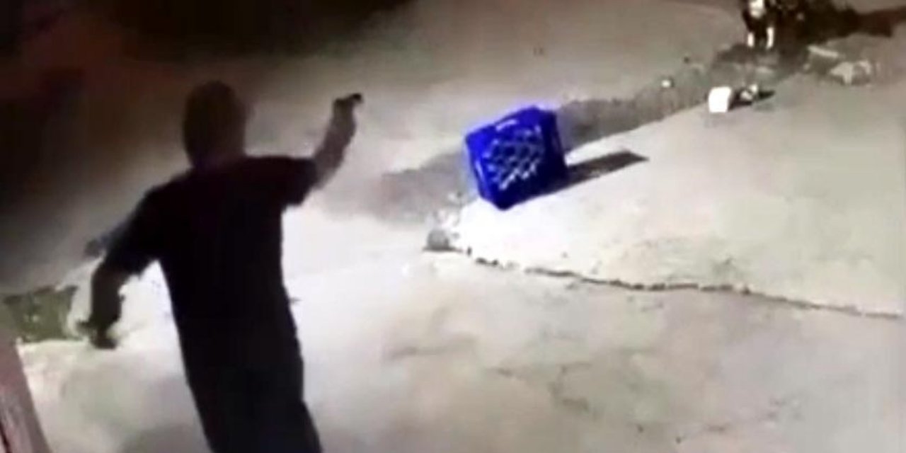 Sakarya'da hayvan katliamı: Köpeği 14 kurşunla öldürdü