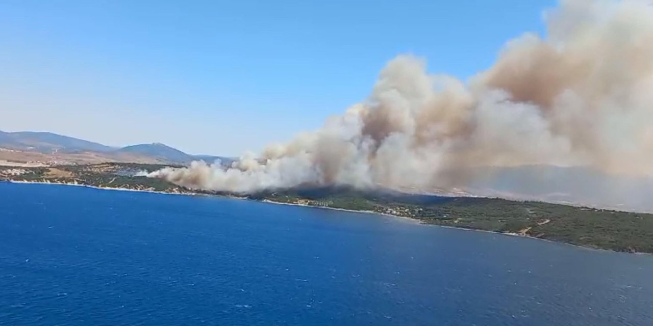 İzmir'in 2 ilçesinde orman yangını