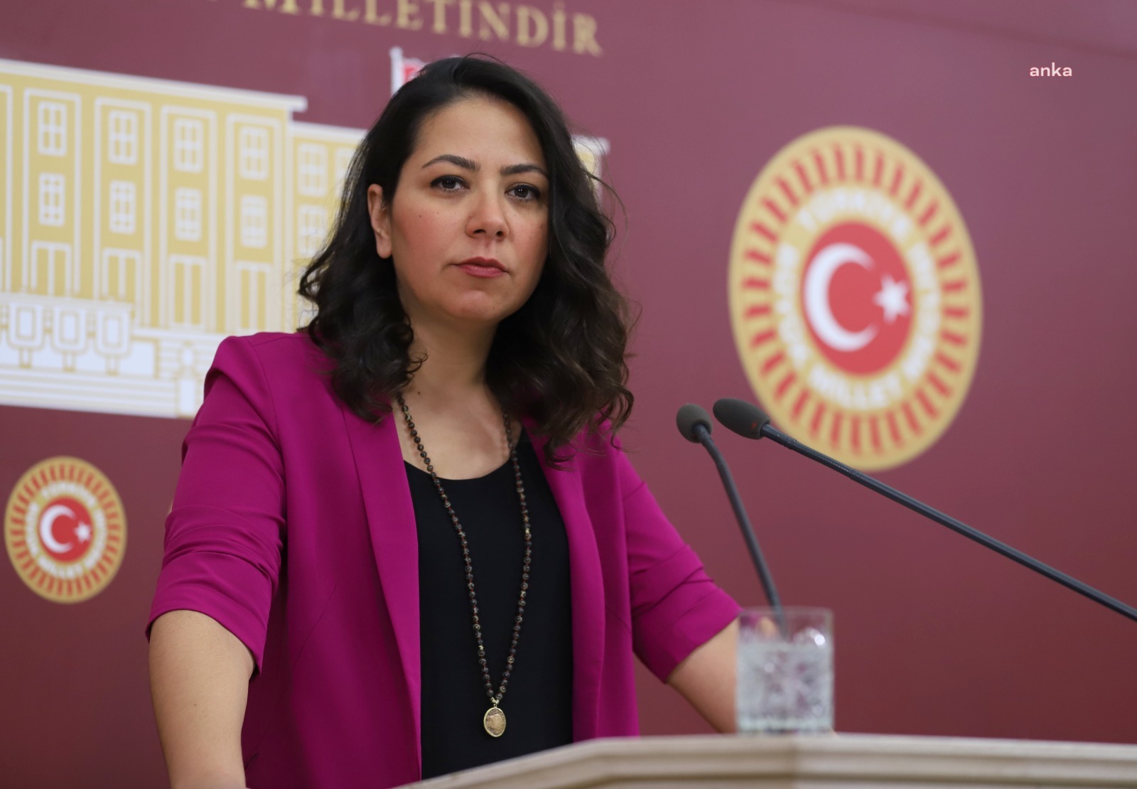 TİP vekili Sera Kadıgil, Kültür Bakanı Ersoy'a festival yasaklamalarını sordu: Bakanlığınız herhangi bir girişimde bulunacak mı?