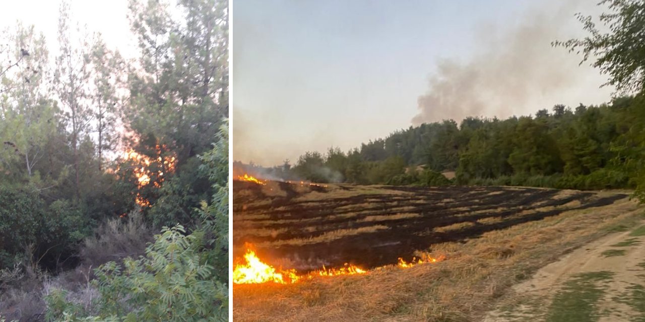 Adana'da anız ateşi ormanı yaktı