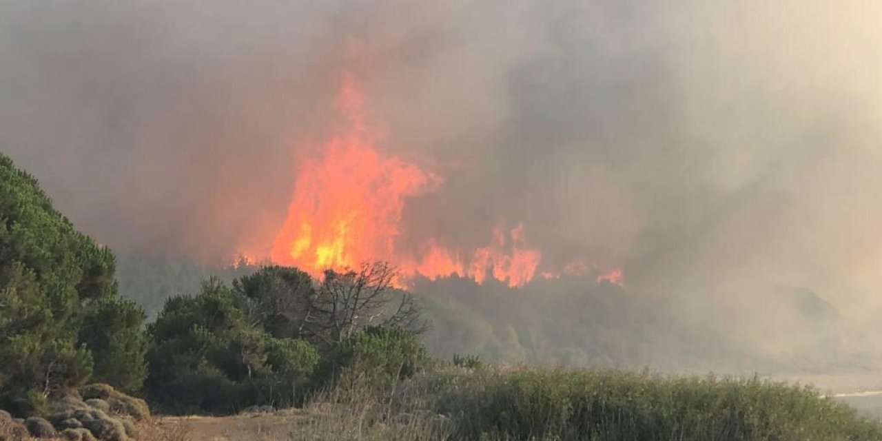 CHP’li Dinçer: Orman yangını verileri saklanıyor