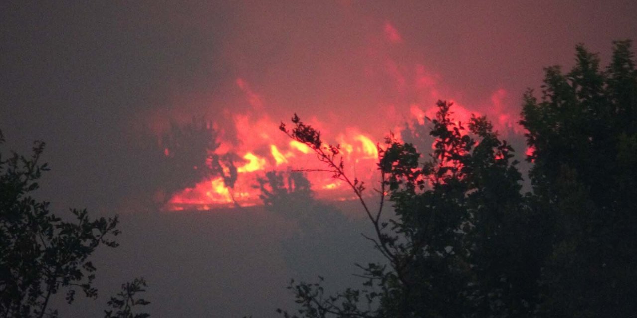 Bakan Tunç: Orman yangınlarıyla ilgili 7 şüpheli tespit edildi