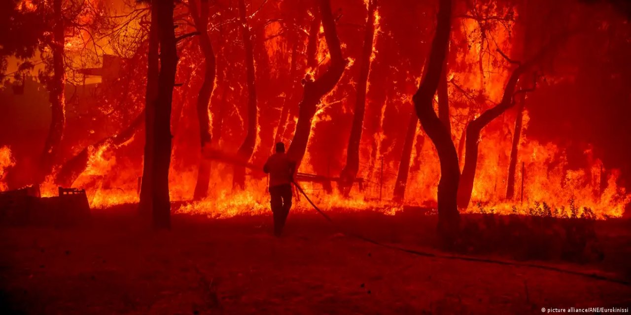 Küresel ısınma: Orman yangınlarıyla nasıl mücadele ediliyor?