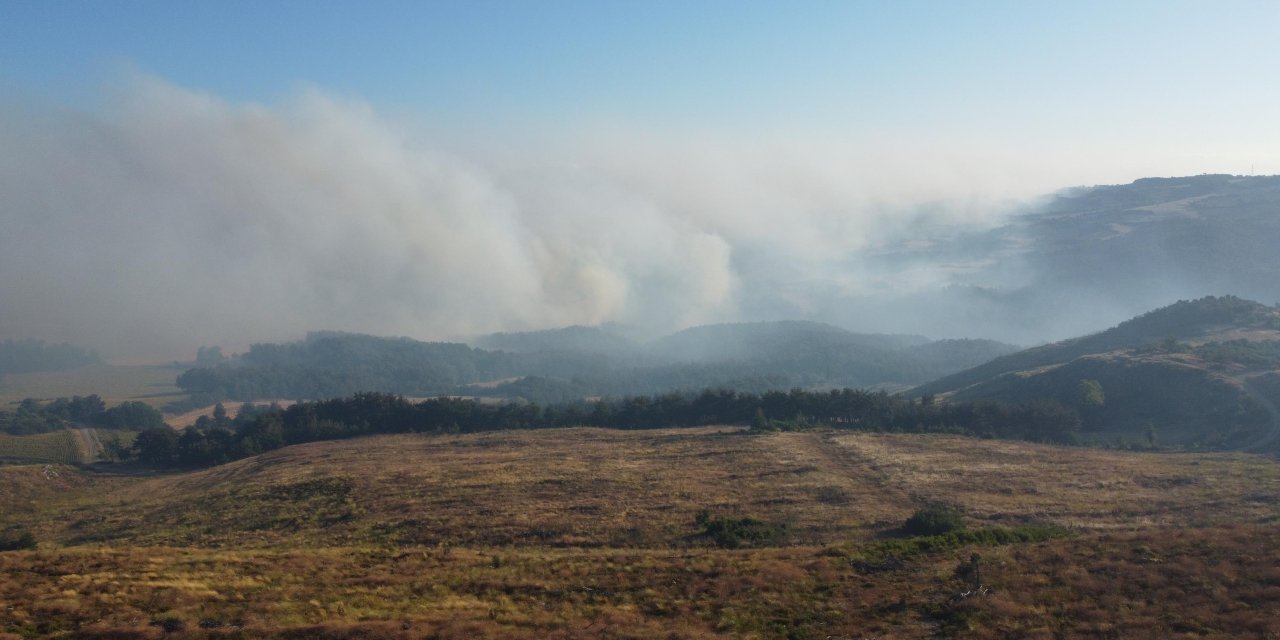 Çanakkale'de orman yangını; 37 saattir müdahale sürüyor