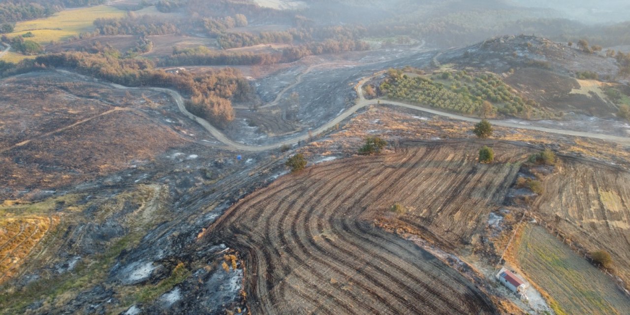 Çanakkale'den acı fotoğraf: Orman yangını 52 saatte kontrol altına alındı, yanan alanlar dron ile havadan görüntülendi