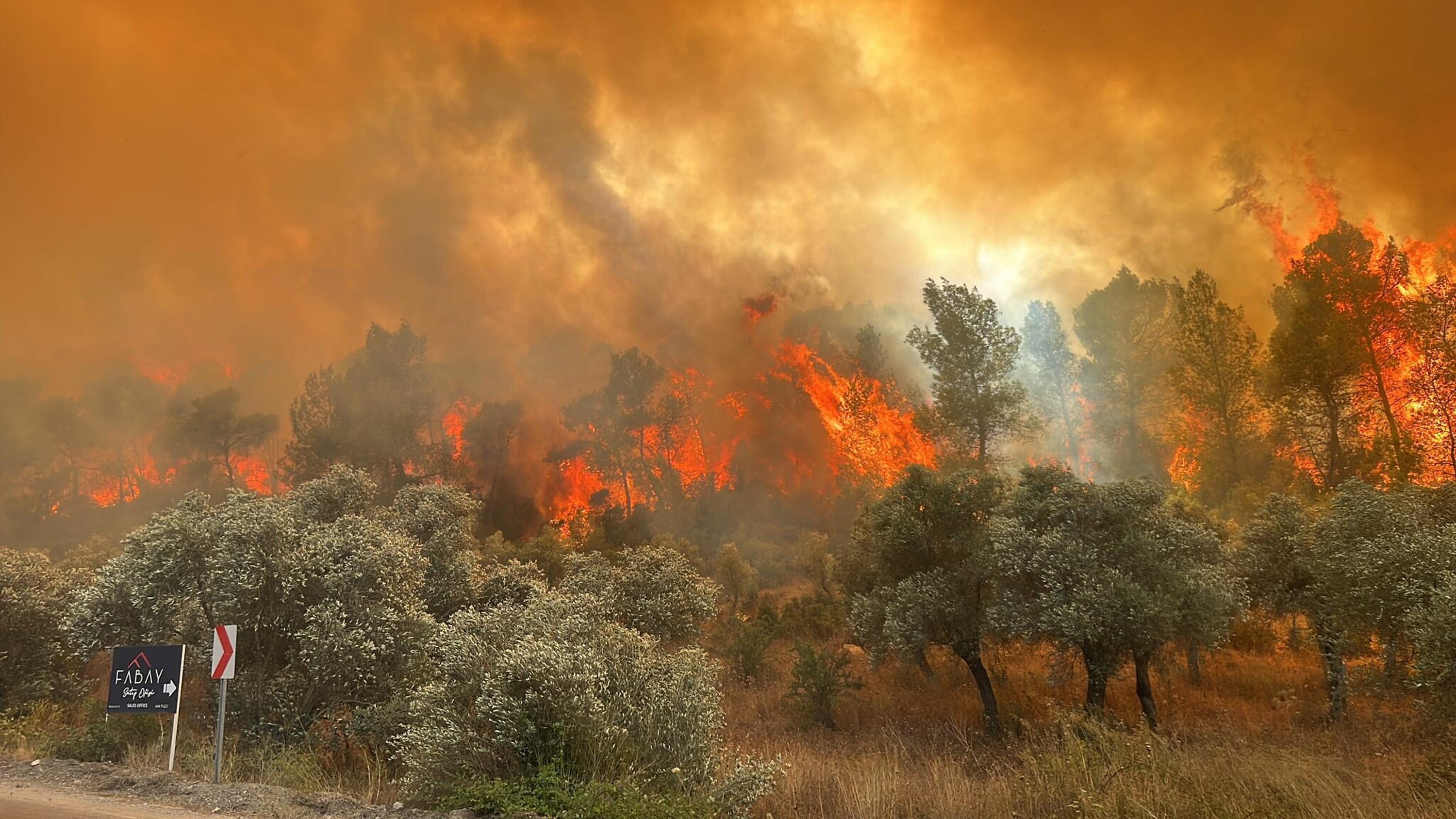 Bakan Yumaklı: Son 10 günde 203 orman yangını çıktı