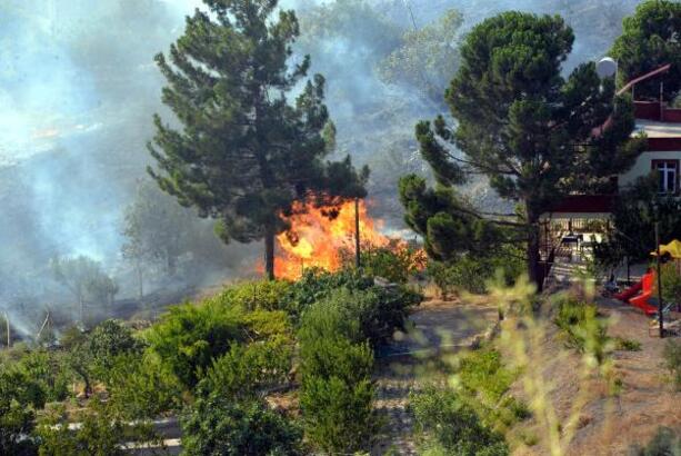 Kahramanmaraş'ta orman yangını 5 saat sonra söndürüldü
