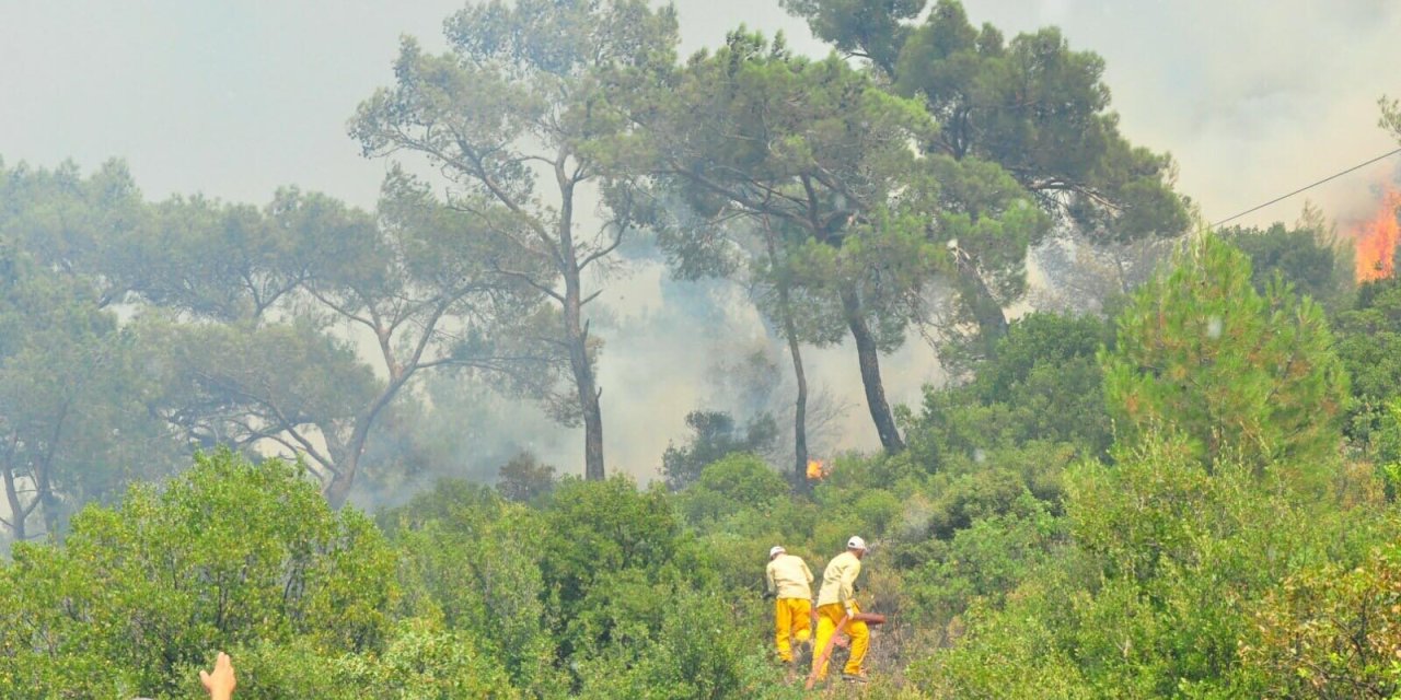 Manisa'da çıkan orman yangınında dumanlar İzmir'e ilerliyor