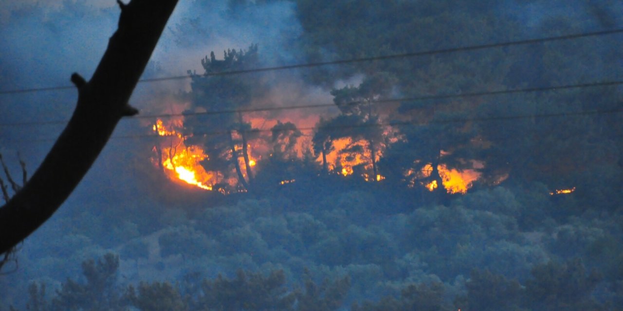 Manisa'daki orman yangını iki gündür sürüyor; havadan ve karadan müdahale ediliyor