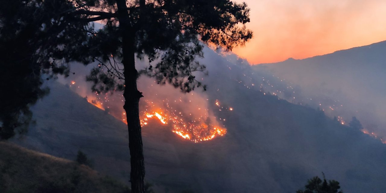 Kahramanmaraş’ta orman yangını: 100 hektar alan zarar gördü