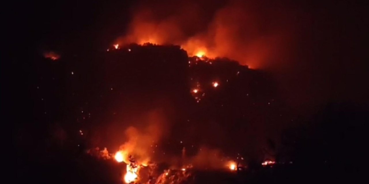 Seydikemer'de 9 hektar ormanın zarar gördüğü yangına sigara izmariti neden olmuş, şüpheli 1 kişi tutuklandı