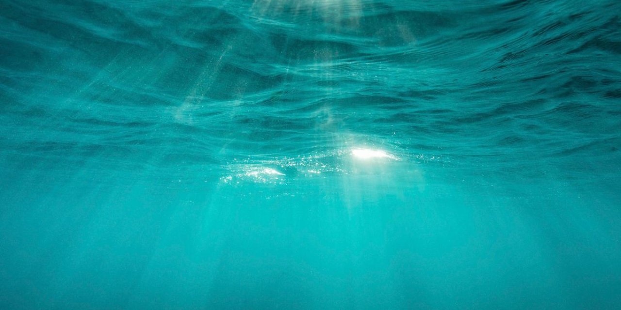 Akdeniz'de su sıcaklığı rekor kırdı; ekosistem tehdit altında
