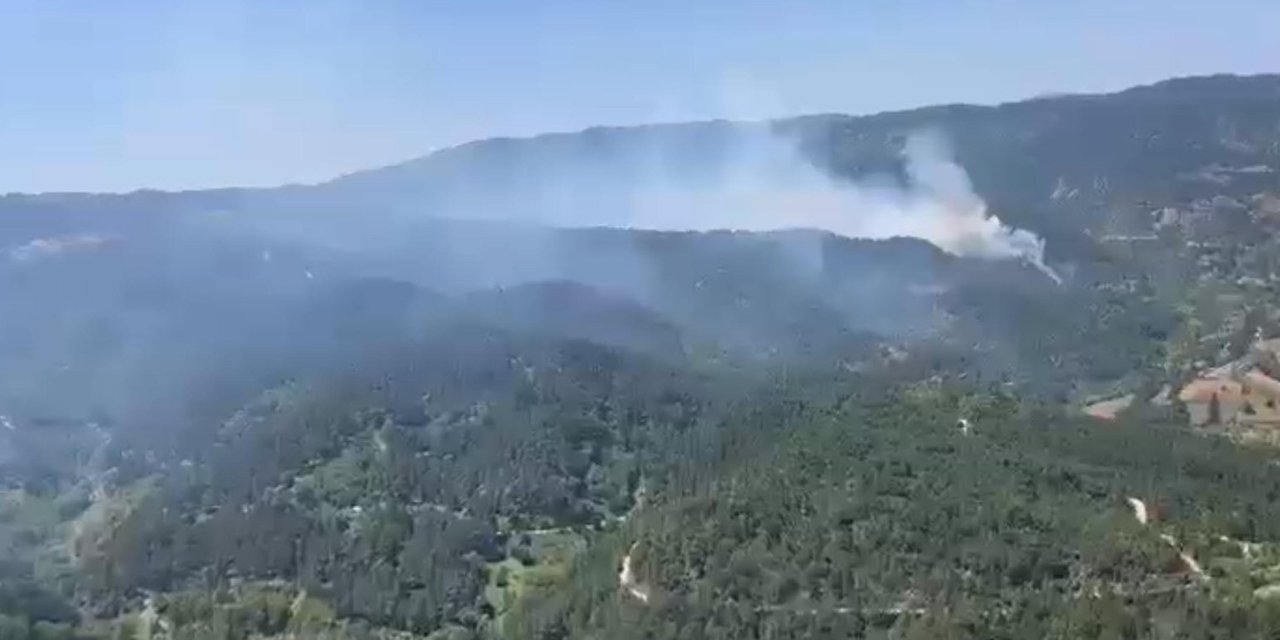 Bu kez Balıkesir'de orman yangını çıktı