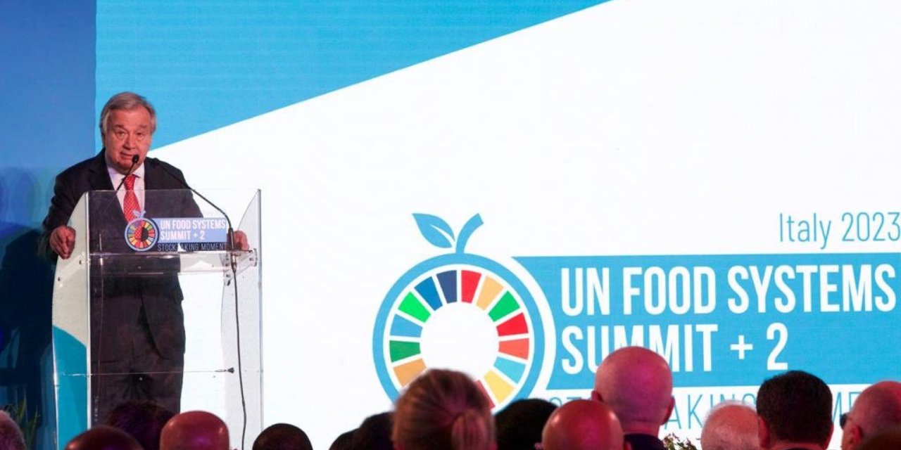 BM Genel Sekreteri iklim değişikliği hakkında uyardı: Isınma değil, küresel kaynama devrindeyiz
