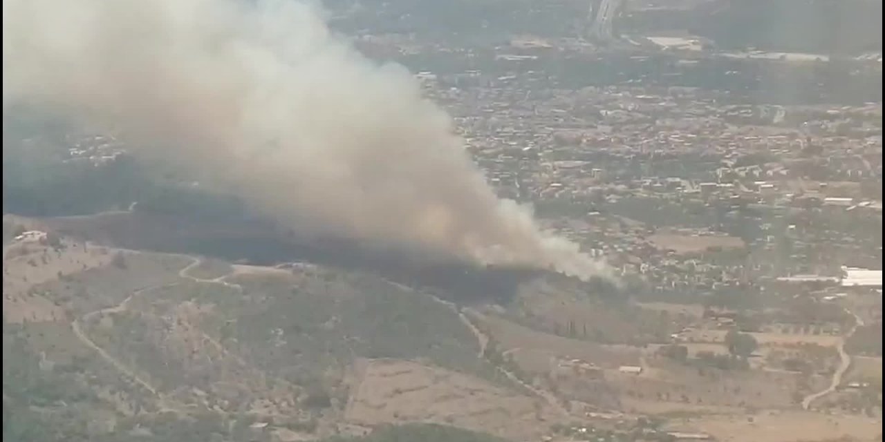İzmir'de 2 orman yangını: Güzelbahçe ve  Zeytinler kavşağı