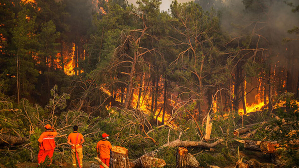 2023'ün ilk yedi ayında 1022 orman yangını çıktı