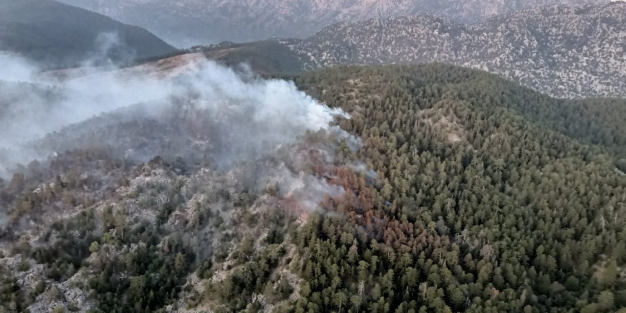 Antalya'daki orman yangını sürüyor