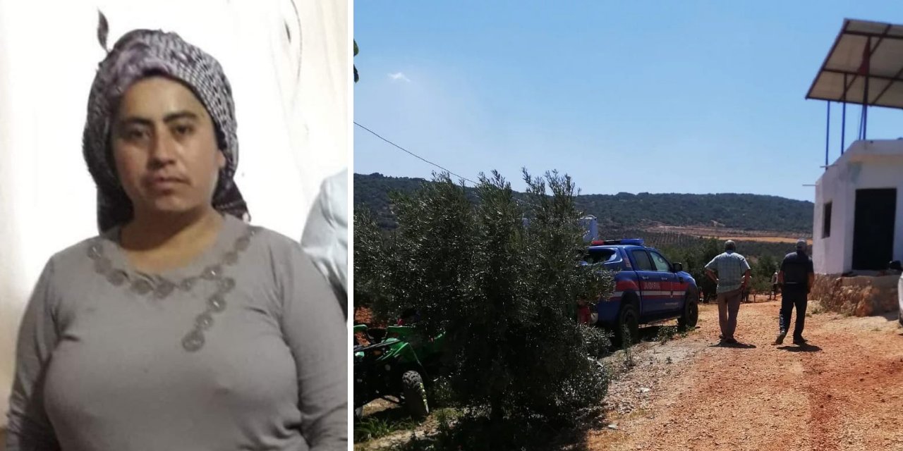 Hatay'da bir haftadır aranan kadın, zeytinlikte ölü bulundu
