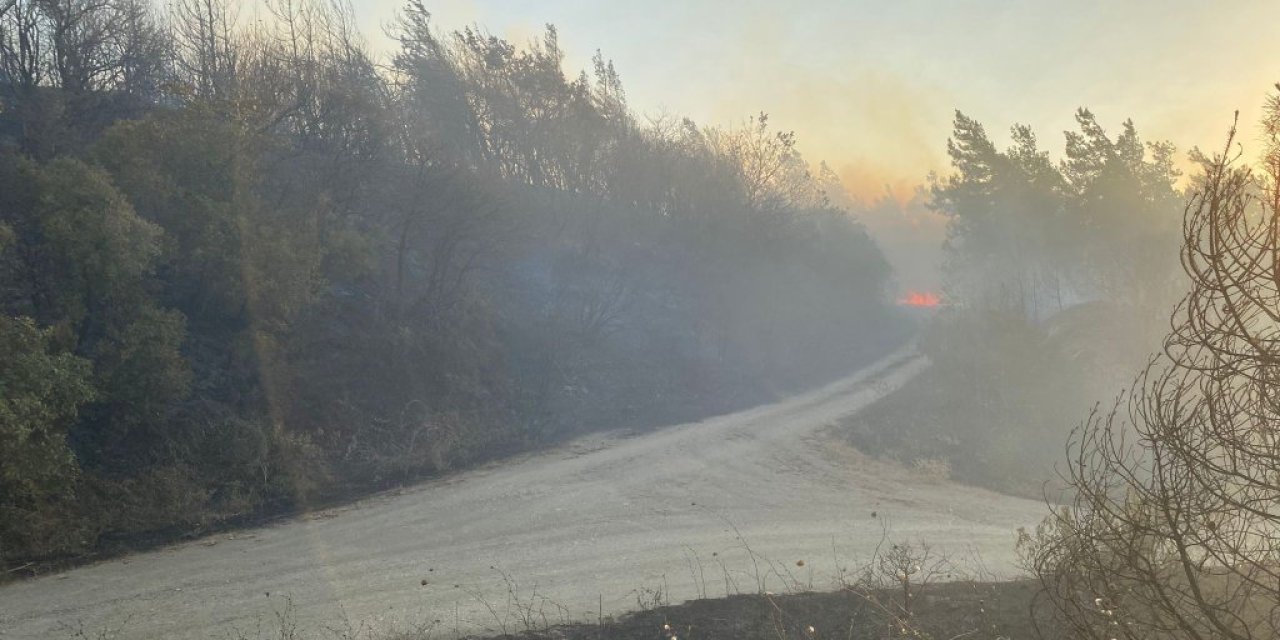 Çanakkale'nin ardından Bursa'da da orman yangını