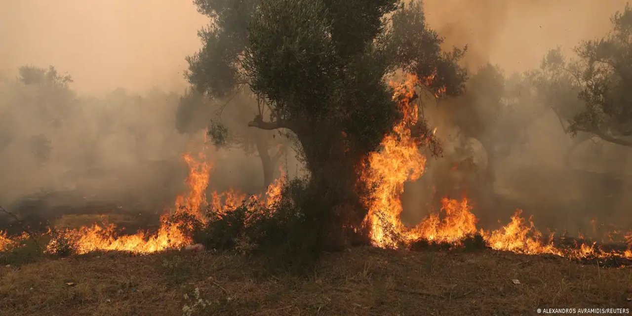 Yunanistan'da yangın: Son yıllarda Avrupa'da kaydedilmiş en büyük yangın