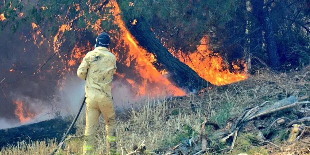 Türkiye’de orman yangınlarıyla mücadele yeterli mi?
