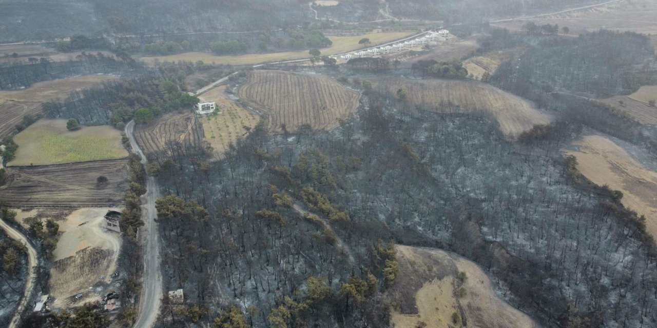Yangın bölgesi havadan görüntülendi: 4 bin 80 hektar alan etkilendi, Çanakkale griye döndü