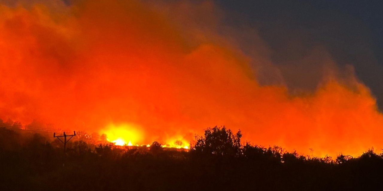Diyarbakır’da orman yangını: Rüzgarın etkisiyle geniş bir alana yayıldı