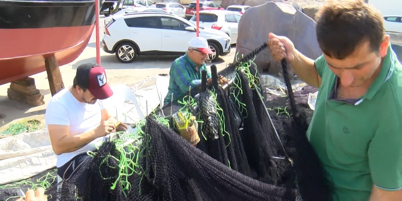 Balıkçıların 1 Eylül hazırlığı: Hamsi, istavrit, çinekop var ama palamut gözükmüyor