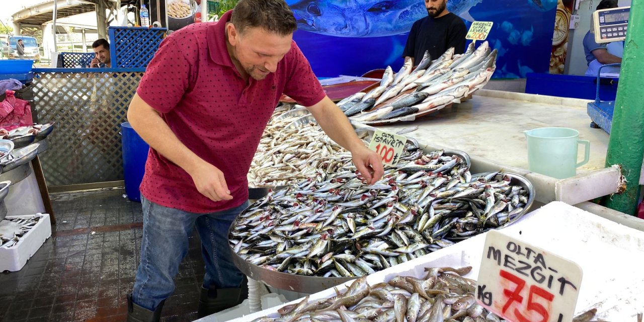 Rize'de hamsi bollaştı; fiyatı düştü