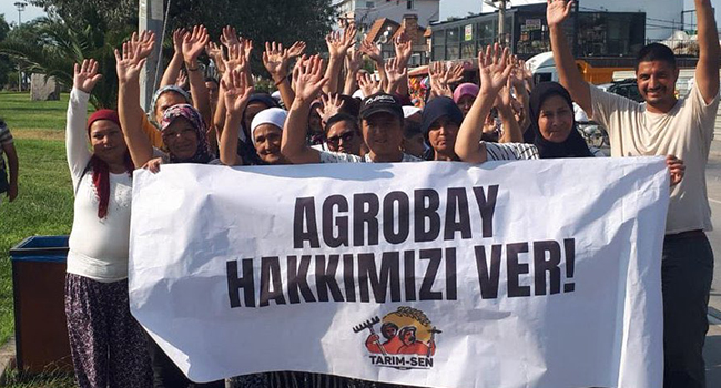 Agrobay direnişinde gözaltına alınan 14 kişi serbest bırakıldı