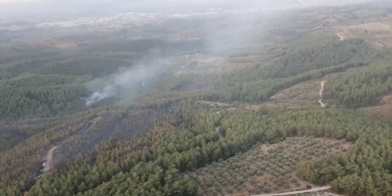 İzmir'deki orman yangını 2. gününde sürüyor