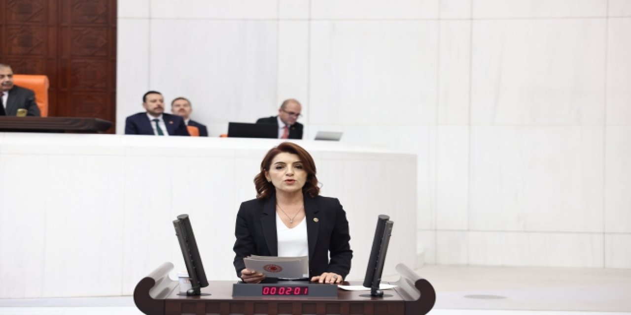 CHP’li Kış Mehmet Şimşek'in verdiği yanıtlara isyan etti: Sorularla ilgisi yok, genel geçer cevaplar...