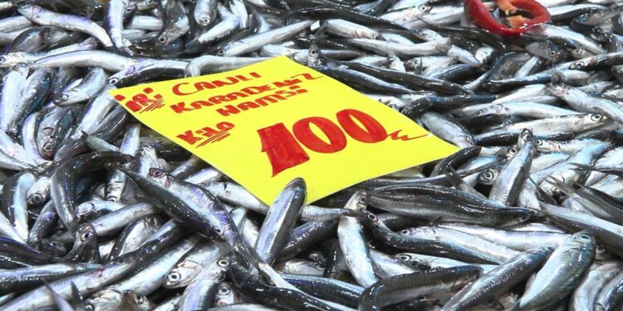 Halde hamsi tartışması: Halde 20, tezgahta 100 lira... Balıkçılar denize açılmadı