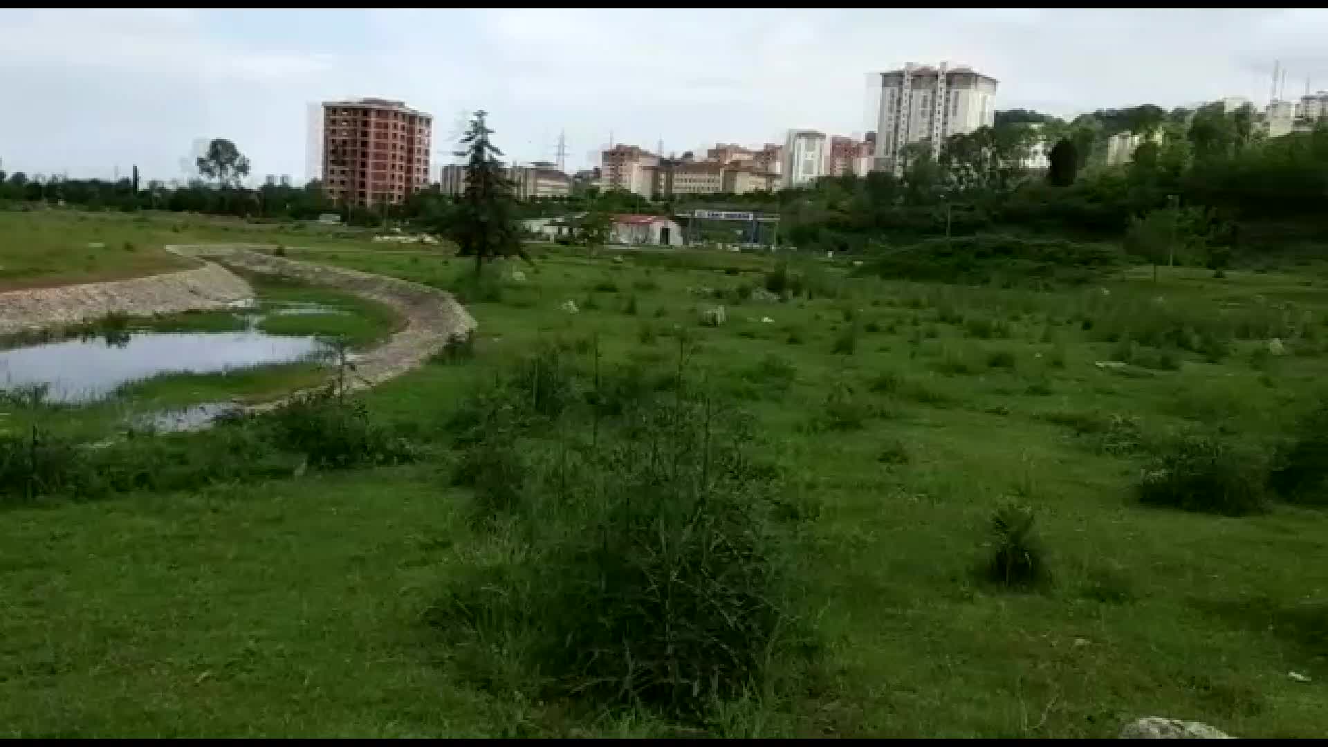 AKP'li belediyenin 15 milyon lira harcadığı botanik parkı, otlak oldu